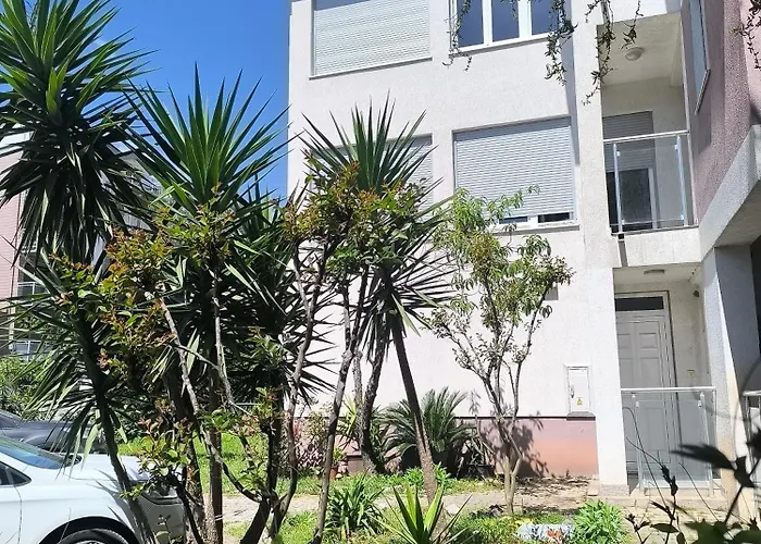 Sunny Apartments