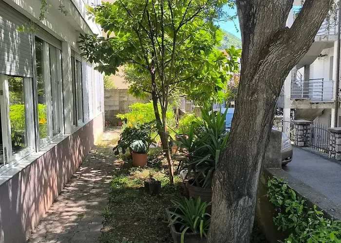 Sunny Apartments